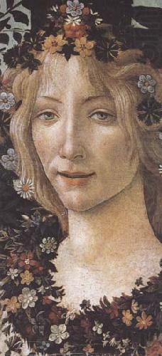 Sandro Botticelli Primavera china oil painting image